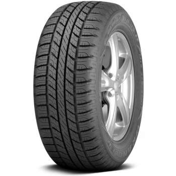 Goodyear Wrangler HP ALL WEATHER 255/65 R16 109 H Letné - 2