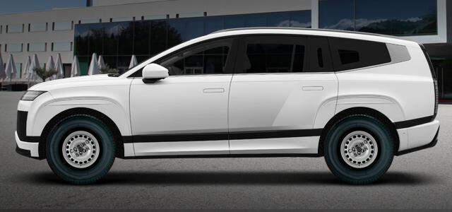 Electric AWD (315kW) 113 kw 0 ccm