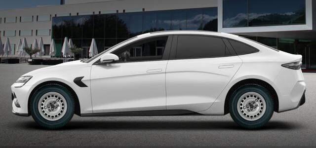 Electric (390kW) 145 kw 0 ccm