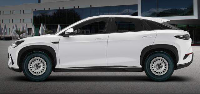 EV (390kW) 145 kw 0 ccm