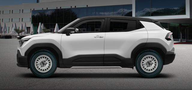 Electric (106kW) 59 kw 0 ccm